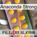 Anaconda Strong new11